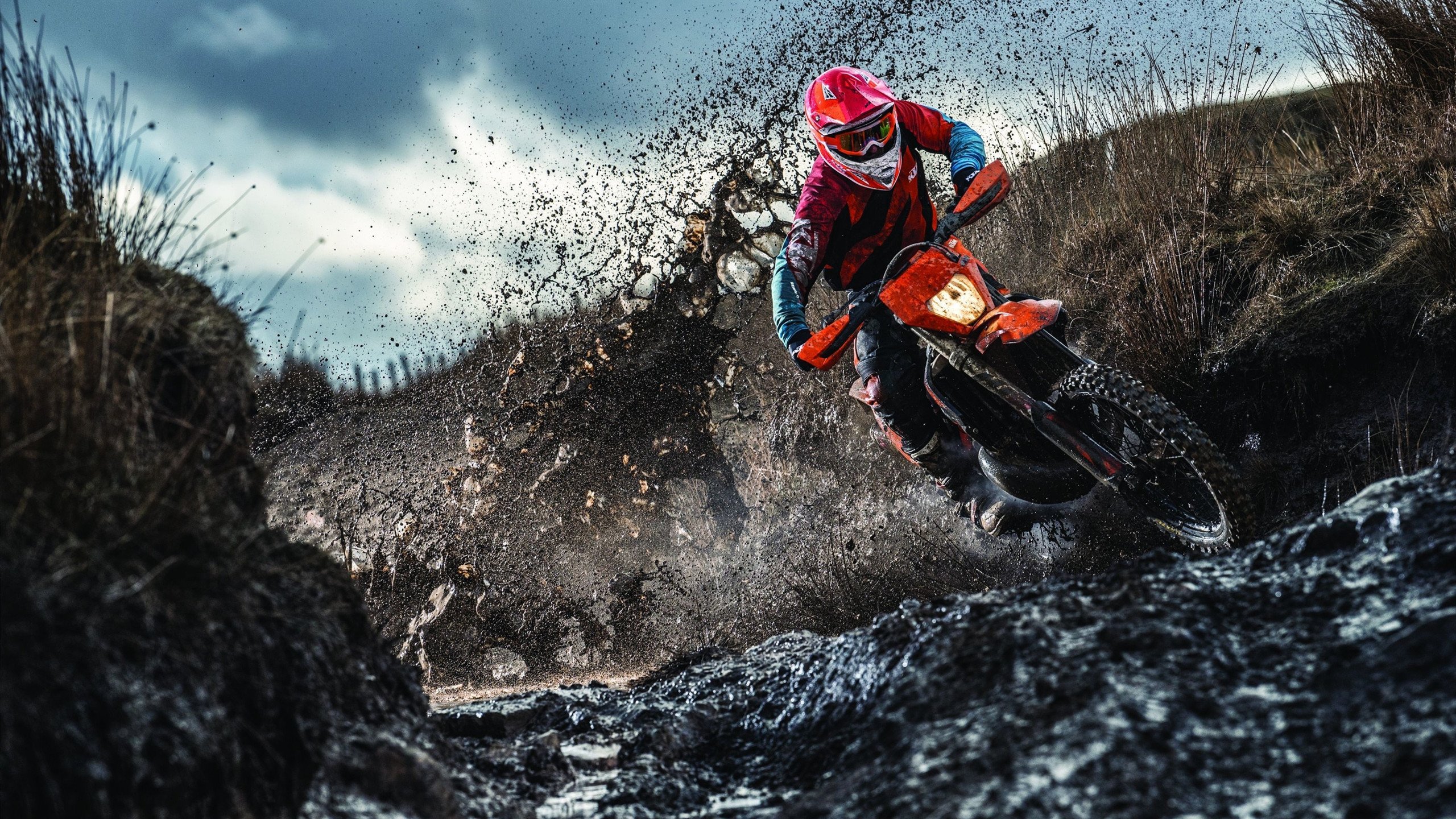 当爱德华兹撕裂达拉斯的夜晚，森林狼的孤星如何照亮团队篮球的极限